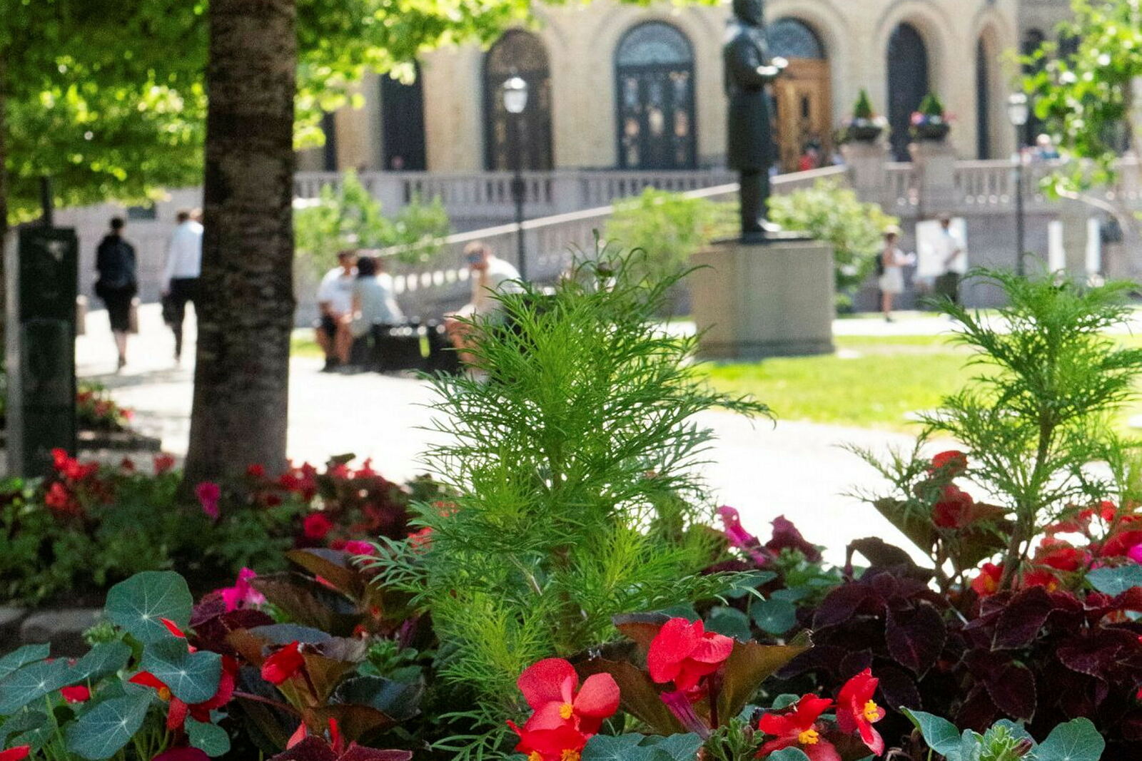 Summer flower beds by the Storting in central Oslo